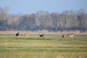 Ménage À Domicile La Garenne-Colombes
